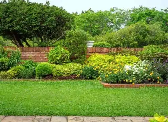 landscaping services Bel Air